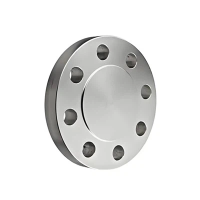 Flangia cieca in titanio